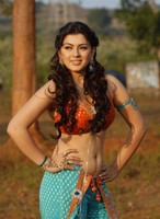 Hansika Latest  Gallery